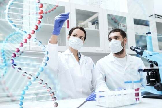 Lymphocytic Leukemia Lymphocytic Leukemia