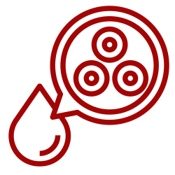 Noun-Blood_4473410
