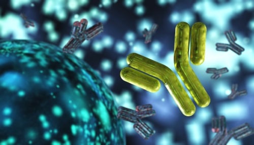 antibody-immunoglobulins